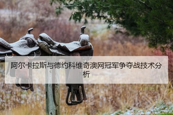 阿尔卡拉斯与德约科维奇澳网冠军争夺战技术分析